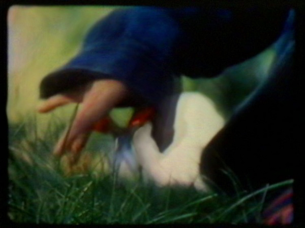 Görülemeyene Duyulan Mahcubiyet