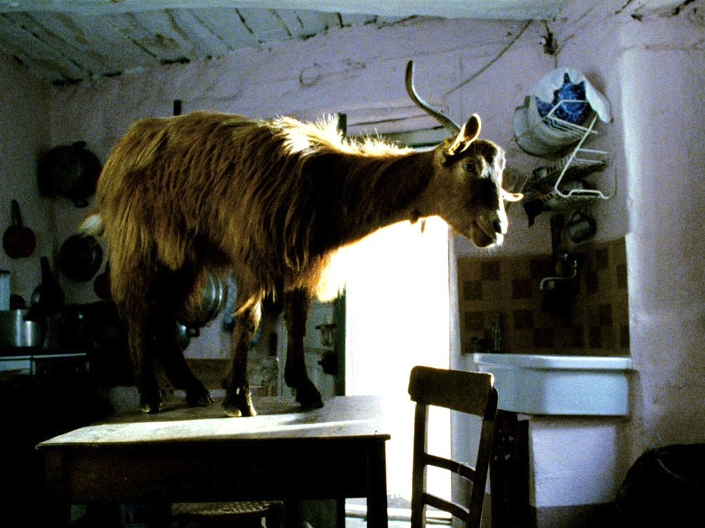 Sonsuzluğa Dair Bir&nbsp;Teselli