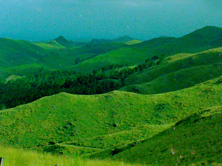 İntihar Ettikten Sonraki&nbsp;Gün