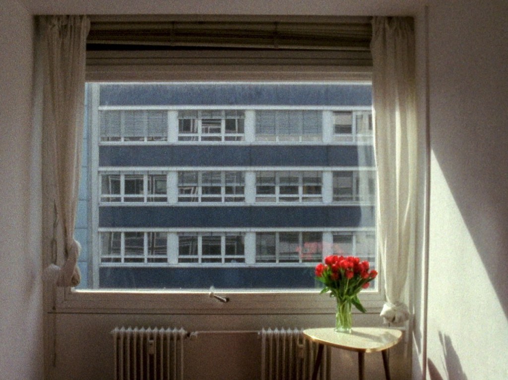 Interview With Helena&nbsp;Wittmann